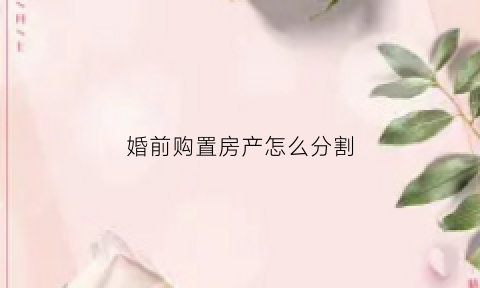 婚前购置房产怎么分割(婚前购买的房子算共同财产吗)