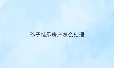 孙子继承房产怎么处理(孙子继承房产有年龄限制吗)