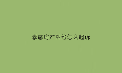 孝感房产纠纷怎么起诉(孝感房产管理局官网)