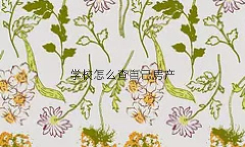 学校怎么查自己房产(学校怎么查自己房产证信息)