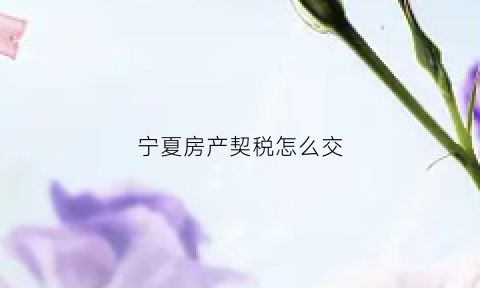 宁夏房产契税怎么交(宁夏房产契税怎么交的)