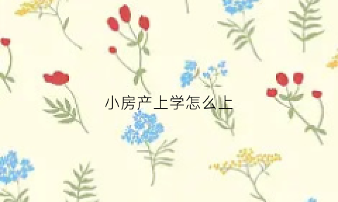 小房产上学怎么上(房子上学)
