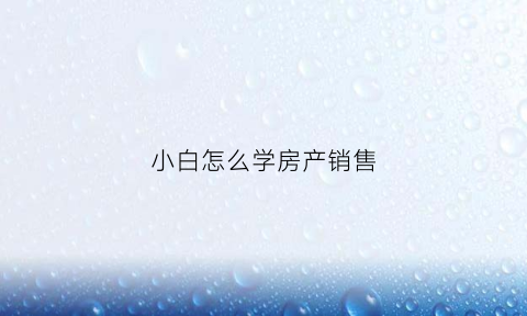 小白怎么学房产销售(新手学房产销售刚开始都学什么)