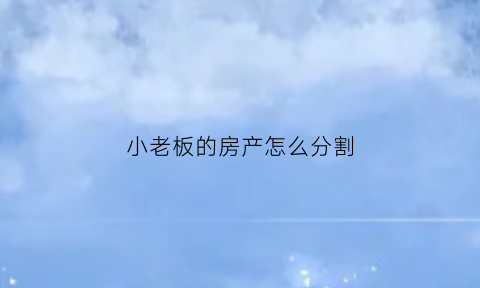 小老板的房产怎么分割(老板的房子)