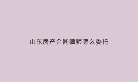 山东房产合同律师怎么委托