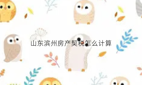 山东滨州房产契税怎么计算