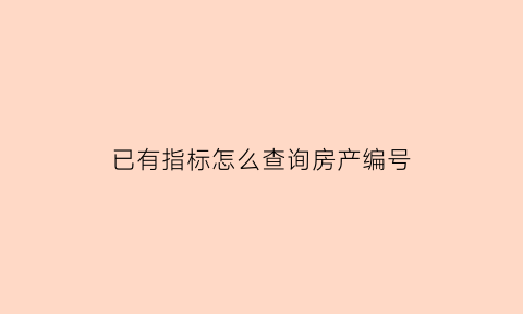 已有指标怎么查询房产编号(有指标的房子是什么意思)