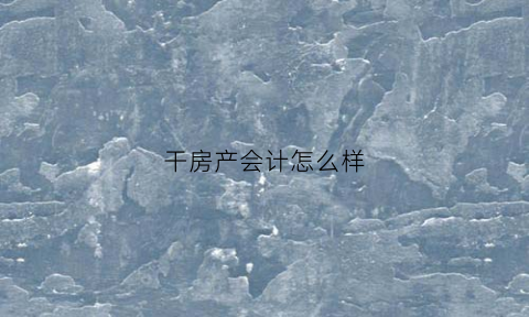 干房产会计怎么样(房产公司会计干些什么)