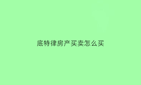 底特律房产买卖怎么买(底特律房产买卖怎么买不了)