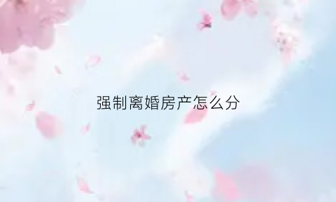 强制离婚房产怎么分(离婚案房产怎么强制执行)