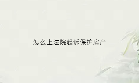 怎么上法院起诉保护房产(起诉保全房产需要什么手续)
