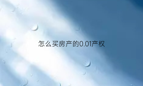 怎么买房产的001产权(买房怎么算产权)