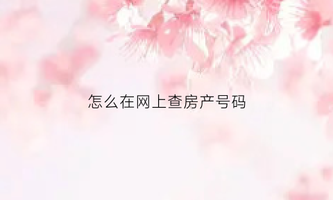 怎么在网上查房产号码(怎样在网上查房产证号)