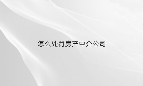 怎么处罚房产中介公司(房产中介处罚条例)