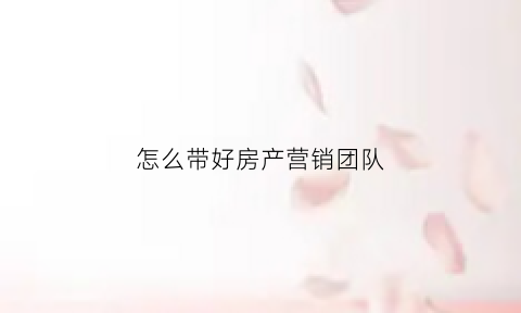 怎么带好房产营销团队(如何带好房产销售团队)