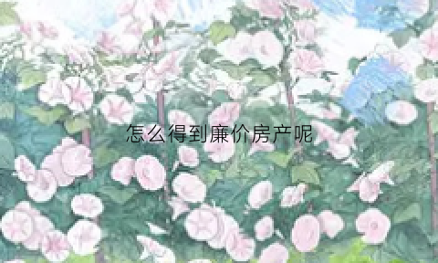 怎么得到廉价房产呢(怎么申请廉价房是什么意思啊)
