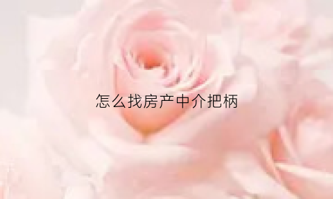 怎么找房产中介把柄