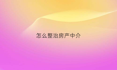 怎么整治房产中介(怎么整治房产中介的人)