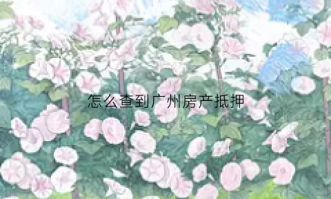怎么查到广州房产抵押(广州查询房产登记情况)