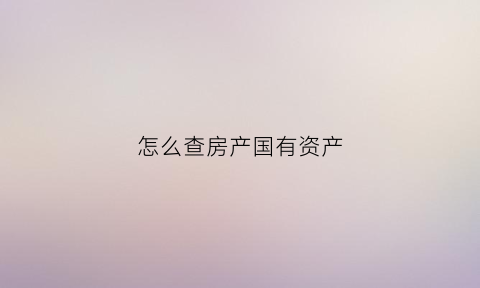 怎么查房产国有资产