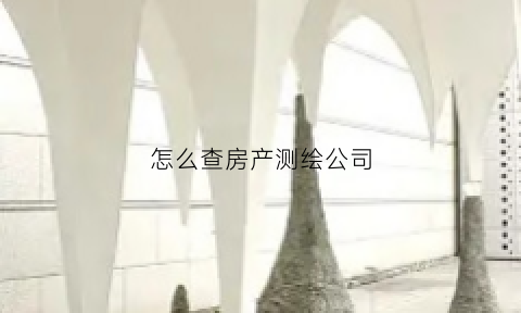 怎么查房产测绘公司(怎么查房产测绘公司信息)