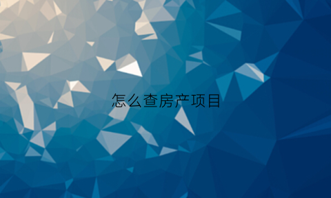 怎么查房产项目(怎么查房产项目进度)