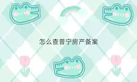 怎么查普宁房产备案