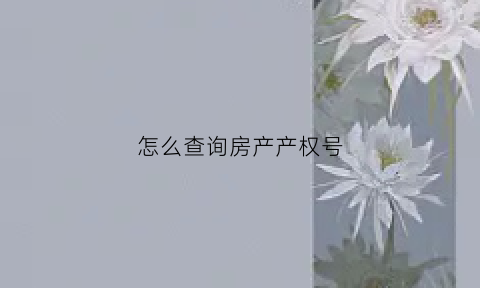 怎么查询房产产权号(如何查到房子的产权证号)