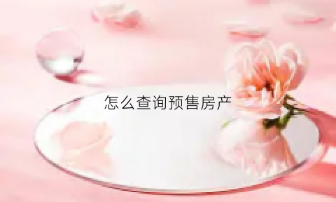 怎么查询预售房产(怎么查房子的预售证)