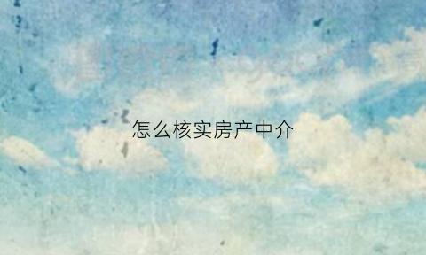 怎么核实房产中介(怎么查房产中介里有没这个人)