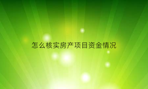 怎么核实房产项目资金情况(怎么核实房产项目资金情况信息)