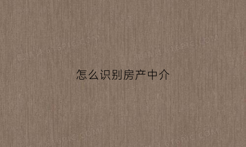 怎么识别房产中介(如何辨别房产中介公司是否正规)
