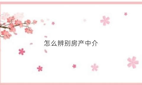 怎么辨别房产中介(怎么辨别房屋中介)