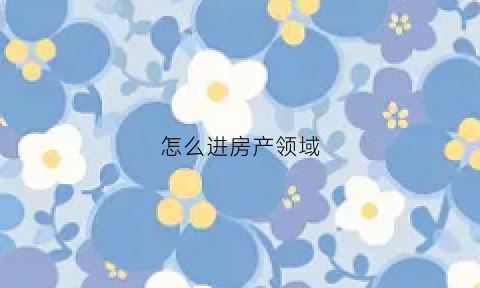 怎么进房产领域(怎么进房产领域公司)