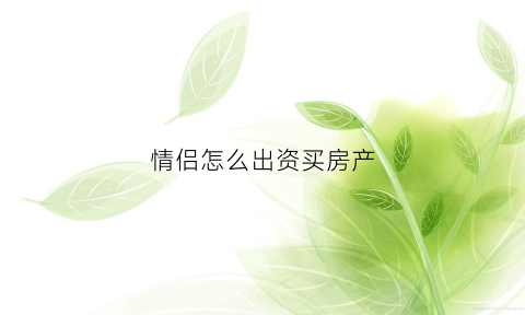 情侣怎么出资买房产(情侣共同买房怎样贷款)