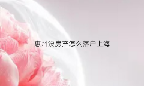 惠州没房产怎么落户上海(惠州买房不能落户了)