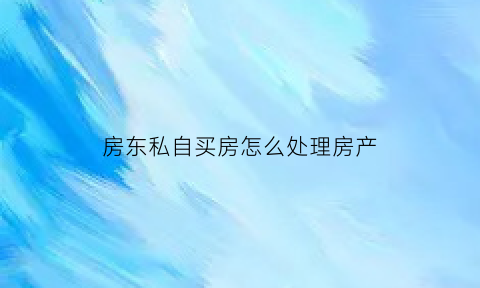 房东私自买房怎么处理房产(房东私自卖我的东西)