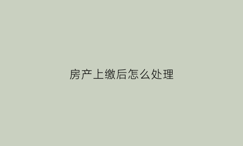 房产上缴后怎么处理(房产上税是什么意思)