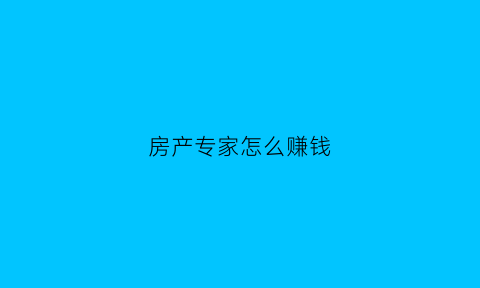 房产专家怎么赚钱(房产专家怎么赚钱的)