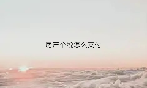 房产个税怎么支付(房产个税怎么交)