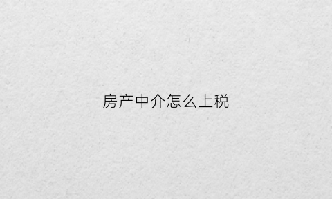 房产中介怎么上税(房产中介怎么上税的)