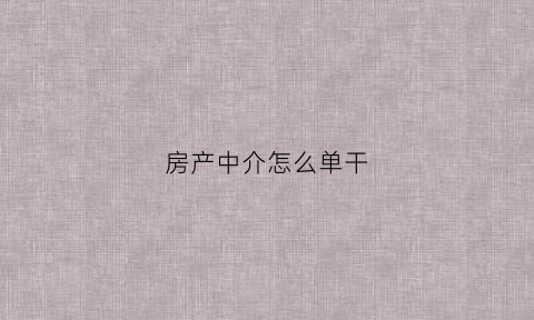 房产中介怎么单干(房子中介怎么干)