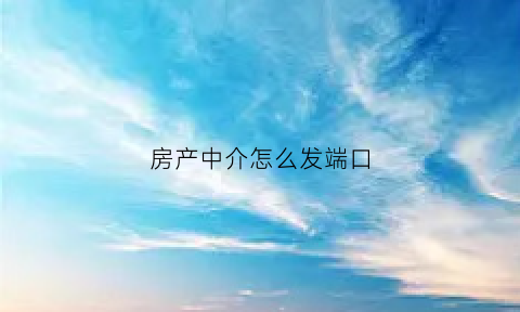 房产中介怎么发端口