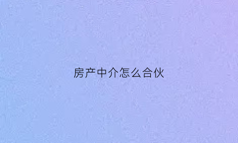 房产中介怎么合伙(房产中介合伙人模式方案)