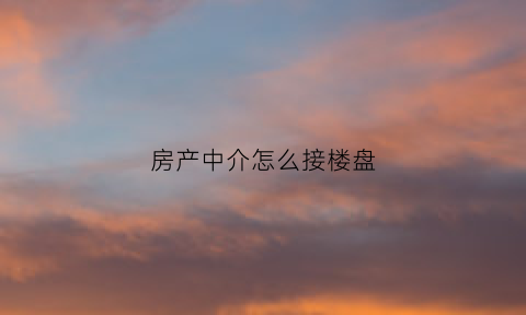 房产中介怎么接楼盘(房产中介怎么接待客户)