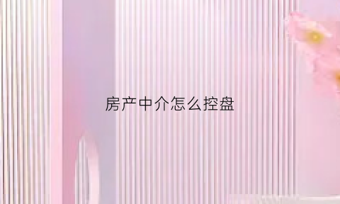 房产中介怎么控盘(房产中介怎么洗盘)