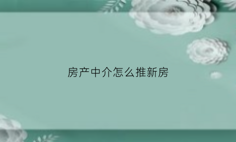 房产中介怎么推新房