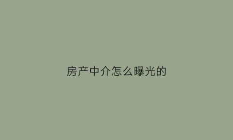 房产中介怎么曝光的(房产中介怎么曝光的信息)