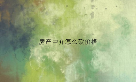 房产中介怎么砍价格(中介的房价怎么砍价)