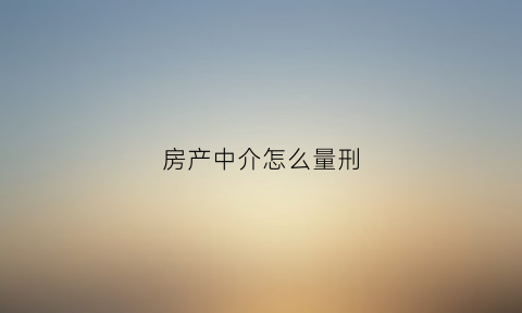 房产中介怎么量刑(房产中介要承担什么法律责任)
